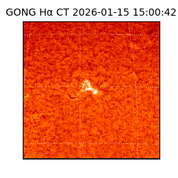 gong - 2026-01-15T15:00:42