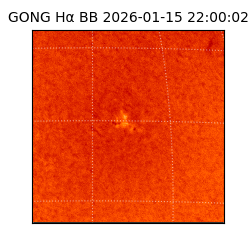 gong - 2026-01-15T22:00:02