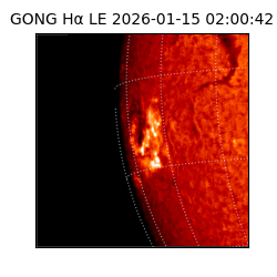 gong - 2026-01-15T02:00:42