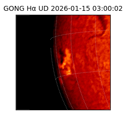 gong - 2026-01-15T03:00:02