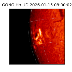 gong - 2026-01-15T08:00:02