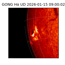 gong - 2026-01-15T09:00:02