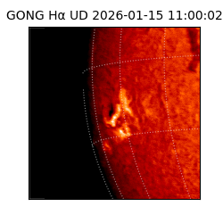 gong - 2026-01-15T11:00:02