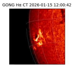 gong - 2026-01-15T12:00:42