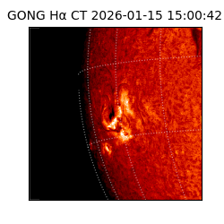 gong - 2026-01-15T15:00:42