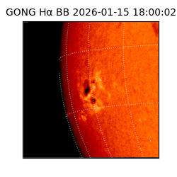gong - 2026-01-15T18:00:02