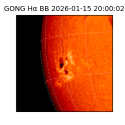 gong - 2026-01-15T20:00:02