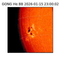 gong - 2026-01-15T23:00:02