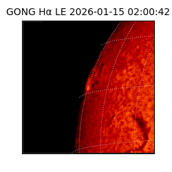 gong - 2026-01-15T02:00:42