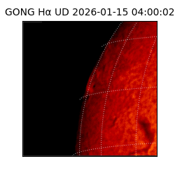 gong - 2026-01-15T04:00:02