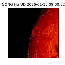 gong - 2026-01-15T09:00:02