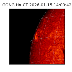 gong - 2026-01-15T14:00:42
