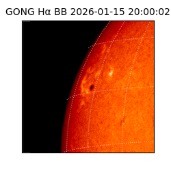 gong - 2026-01-15T20:00:02