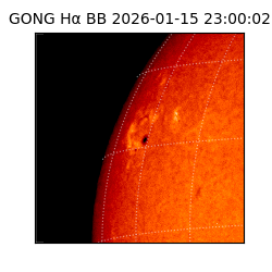 gong - 2026-01-15T23:00:02