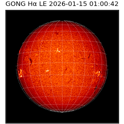 gong - 2026-01-15T01:00:42
