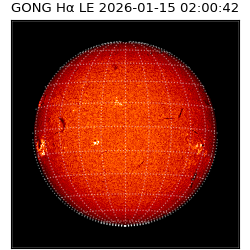 gong - 2026-01-15T02:00:42
