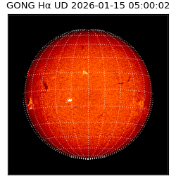 gong - 2026-01-15T05:00:02
