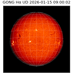 gong - 2026-01-15T09:00:02