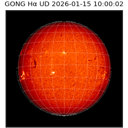 gong - 2026-01-15T10:00:02