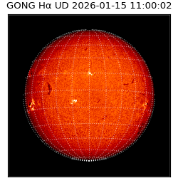 gong - 2026-01-15T11:00:02