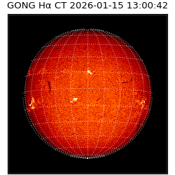 gong - 2026-01-15T13:00:42