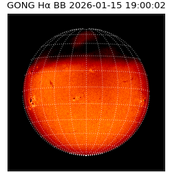 gong - 2026-01-15T19:00:02