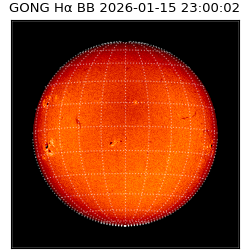 gong - 2026-01-15T23:00:02