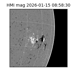 shmi - 2026-01-15T08:58:30