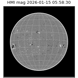 shmi - 2026-01-15T05:58:30