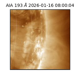 saia - 2026-01-16T08:00:04.846000