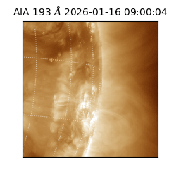 saia - 2026-01-16T09:00:04.838000