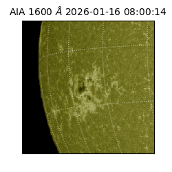saia - 2026-01-16T08:00:14.125000