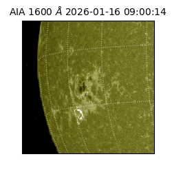 saia - 2026-01-16T09:00:14.118000