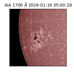 saia - 2026-01-16T05:00:28.713000