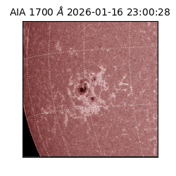 saia - 2026-01-16T23:00:28.717000