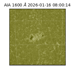 saia - 2026-01-16T08:00:14.125000