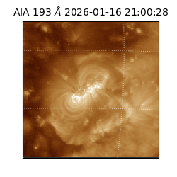 saia - 2026-01-16T21:00:28.843000