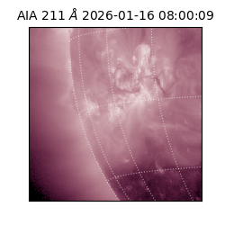 saia - 2026-01-16T08:00:09.623000