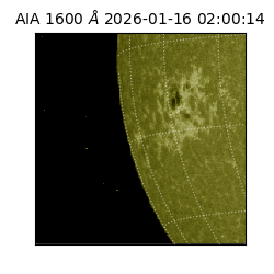 saia - 2026-01-16T02:00:14.126000