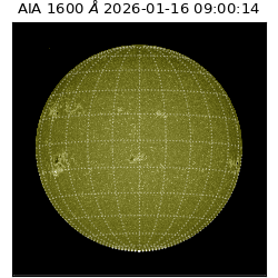 saia - 2026-01-16T09:00:14.118000