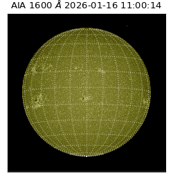 saia - 2026-01-16T11:00:14.126000