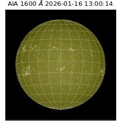 saia - 2026-01-16T13:00:14.125000