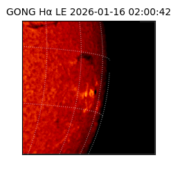 gong - 2026-01-16T02:00:42