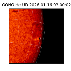gong - 2026-01-16T03:00:02
