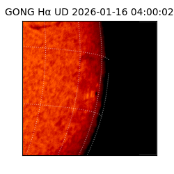 gong - 2026-01-16T04:00:02