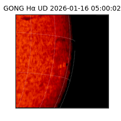 gong - 2026-01-16T05:00:02