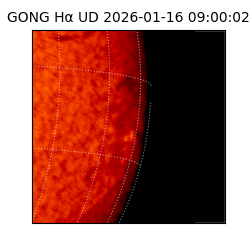 gong - 2026-01-16T09:00:02
