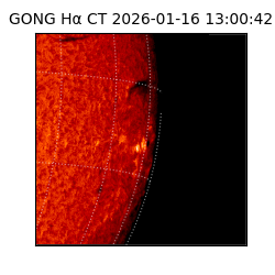 gong - 2026-01-16T13:00:42