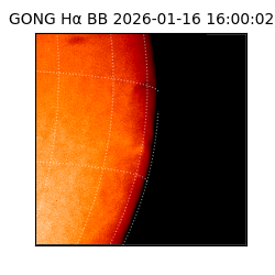 gong - 2026-01-16T16:00:02