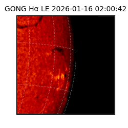 gong - 2026-01-16T02:00:42
